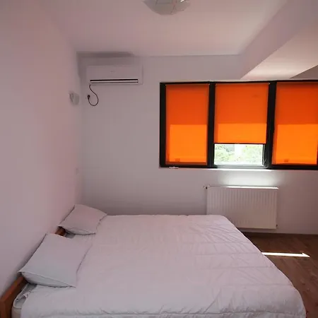 Apartment Tineretului One